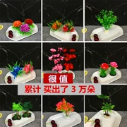 Món ăn khách sạn, món ăn lạnh, trang trí món ăn, hoa, nghệ thuật, sashimi, đĩa, sáng tạo, trang trí nghệ thuật, đồ trang trí hoa nhỏ - Trang trí nội thất