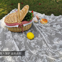 ins Wind picnic cloth spring outing lawn mat outing tablecloth pastoral French hollow white lace tablecloth photo background