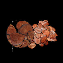 Weihuling Northeast Changbai Mountain Jilin sika deer velvet slices blood slices gift box antler slices Soak wine soup with blood feet