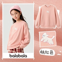 Розовый【бархатная подкладка】-208424121001