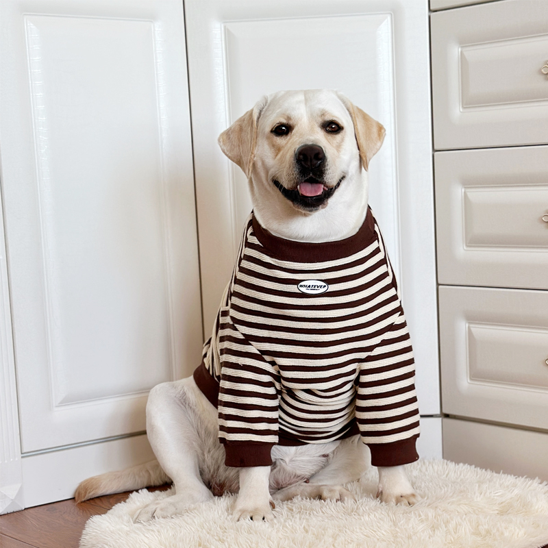 Large Dog Clothes, Spring and Autumn Trendy Brand Clothes, Labrador Golden Retriever Clothes, Internet-Famous Big Dog Sweatshirt, Stylish Clothes
