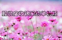 Clothing store cashier system stand-alone clothing cashier system clothing sales management software