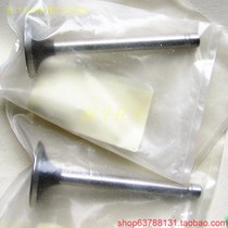 Yamaha EDA5000E valve intake valve exhaust valve original