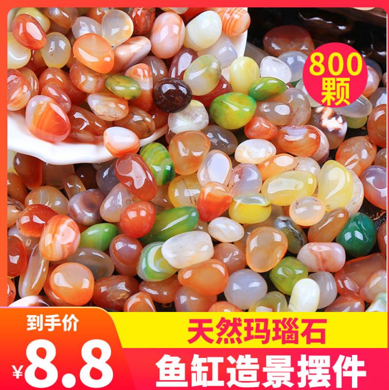 Vegetal Meat Broccoli Flowers flowers and flowers Flowers Stones and Ground Potted Base Sand White Stones Breathable Goose Pebble Base Sand Cultivation