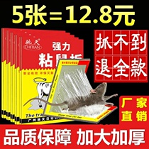 Mouse sticky rat attractant kindergarten tasteless rat catcher artifact powerful mouse paste big mouse super strong increase arrest