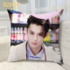 Meteor Garden Dao Ming Wang Hedi đệm sofa gối xung quanh kế hoạch đoạn tương tự phù hợp với sinh viên món quà sinh nhật - Trở lại đệm / Bolsters gối vuông tựa lưng sofa
