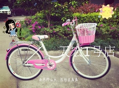 Panier pour vélo - Ref 2260807 Image 27