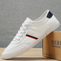 Han edition white canvas shoes male breathable low-gang casual shoes male plate shoes summer soft sole thin white shoes