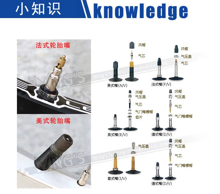 Pompe à vélo BETO - Ref 2396707 Image 32