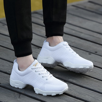 Fei Weaving Net White Mens Dance Shoes Soft Sift Breathable Square Dance Shoes Jazz Dance Shoes Four Seasons Fitness Dance Shoes