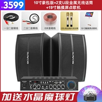 Металлический беспроводной микрофон, караоке, 10 дюймов, 2 шт, 19 дюймов