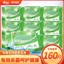 Heart Print Wipes Sanitary Series Disinfection Wipes Mild Sterilization Portable Household Wet Wipes 160 10 Packs