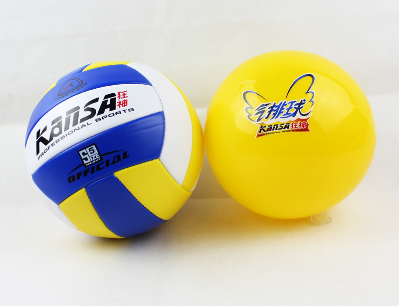 Ballon de volley - Ref 2010154 Image 6