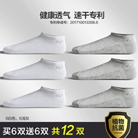 B 【антибактериальная сета