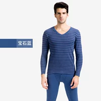 Gem Blue Boy/58209
