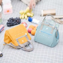 Waterproof Day Type Insulated Bag Aluminum Foil Thickened Hand Lunch Box Office Workers Carrying Lunchbox Bags Waterproof Ice Pack Back Milk