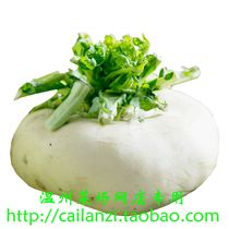 Wenzhou specialty fresh dish farm home-grown alpine vegetables crispy sweet 1000g
