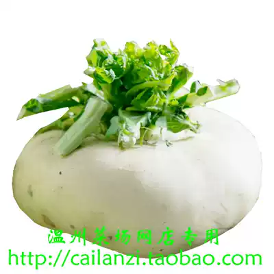 Wenzhou specialty fresh dish farm home-grown alpine vegetables crispy sweet 1000g