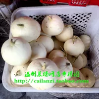 Венчжоу Специальность Lingkun Melon White Pecking Melon Lingkun Island Melon Seasonal Fruit 500G