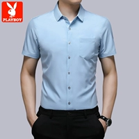 210 светло -синий твердый цвет