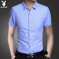 Синяя 902 большая звезда