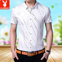 016 Белая косой линии