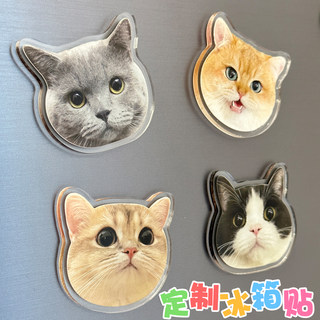 Acrylic refrigerator magnets customized with photos of pets, kittens and dogs, three-dimensional high-end healing magnet stickers customized