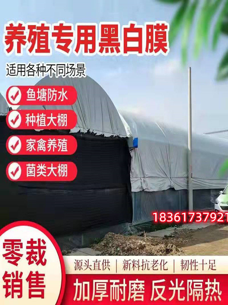 ✨冬至晴天=明年好运爆棚？老祖宗的智慧你不得不信！