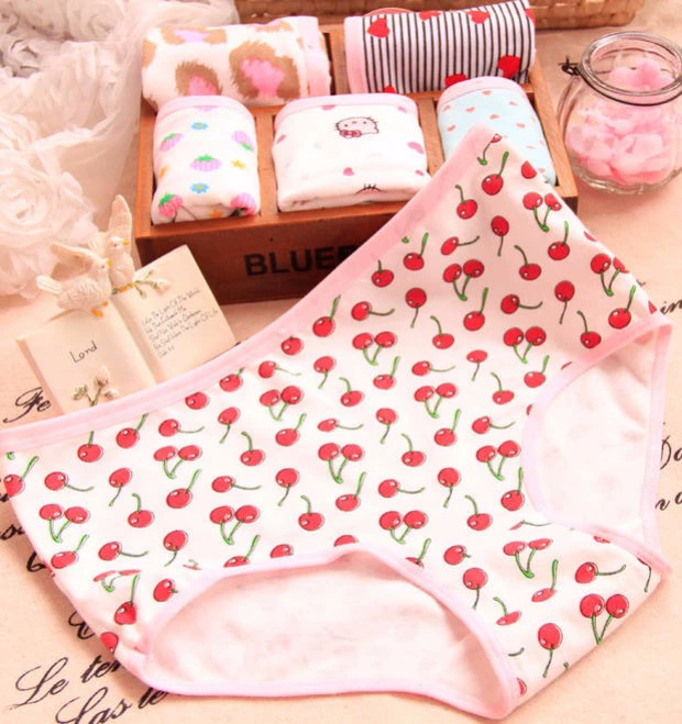 4 bộ đồ lót nữ cao cấp cotton của phụ nữ