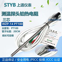 On-pass instrument WZPT-14 pt100 platinum thermal resistance temperature sensor Temperature probe Temperature control thermocouple
