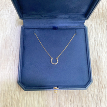 Sterling Silver Necklace Women's Light Luxury Minor Clavicle Chain 2021 New Horseshoe Pendant for Girlfriend's Birthday Gift