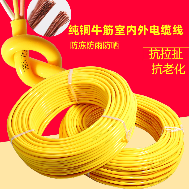 PURE COPPER CABLE WIRE OUTDOOR POWER CORD 2 CORE WIRE CORD SOFT WIRE HOME WIRE 1 5 SQUARE 2 5 SQUARED JACKET WIRE