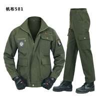 Оливковый зеленый холст 581 набор