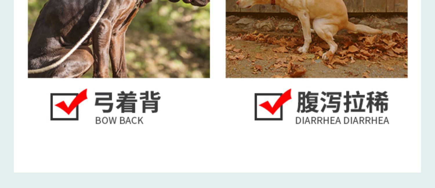 Đài Loan Pan Bao Pet Mũ mèo và tuyến tụy tuyến tụy Dinh dưỡng tiêu hóa tuyến tụy già và mỏng 30 viên - Cat / Dog Health bổ sung sữa mèo