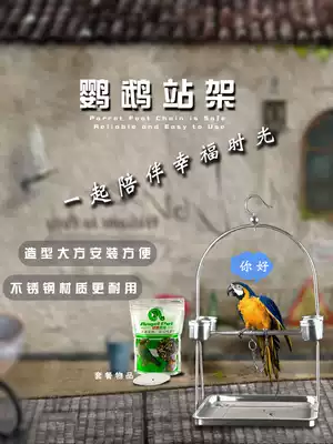 Parrot station stand Birdcage shelf size parrot macaws Macao Sun monk Xuanfeng with stainless steel stand leg