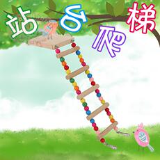 Качели 虎皮牡丹玄凤鸟类玩具站台攀爬梯中小型鹦鹉 云梯 木质秋千 吊环 Anjipaite