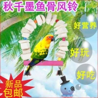 Mới mực nang xương đu Chim vẹt hổ vẹt đồ chơi cung cấp đồ ăn nhẹ canxi cắn chơi - Chim & Chăm sóc chim Supplies 	cám cho chim vành khuyên	