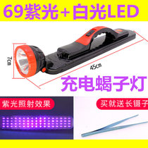 Scorpion light strong light LED charging ultra-bright long-range astigmatism to catch and arrest scorpion special large spot purple flashlight