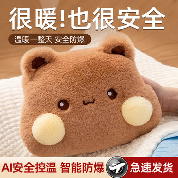 Hot Water Bottle, Rechargeable, Explosion-Proof, New Model, Special for Use in Bed, Hand Warmer for Girls, Plush, Cute, Warm Baby, Warms the Tummy