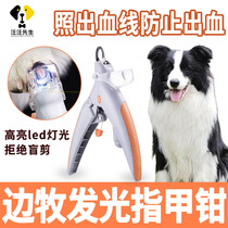 Side Shepherd Puppy nail clippers Anti-bleeding Large canine Luminous Nail Clippers with blood line Pet Supplies Grand full