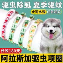 Alaska Special Dog Out Infiltration Removal Neck Removal of Fla-proof Ticks Remove Lie Ring Puppies