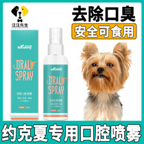 Yorkshire Dog Garment Easible Pet Steam Defect Spray Dental Cleaning Teeth