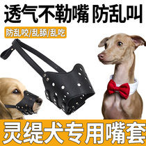 Lingers Puppy dog mouth sleeve anti-licking bark A god instrumental large dog mess with a mouth guard sleeve anti-bite special mask