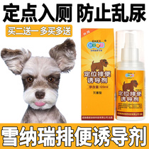 Snownery pooch on the toilet with targeted defecation inducing agents to prevent pet dogs from messy and urinating on the ground