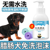 Sausage Dogs Puppies Puppies Free God-Ware Pet Store Exclusive Dry Cleaning Foam Anti-Itchy Smell Shampoo Bubble bath lotion