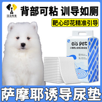 Samoyed dog trains target urinary pad to guide toilet pets induce puppy urine cushion disposable adhesive