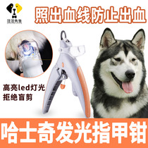 Haschic large canine dog nail clippers anti-bleeding luminous nail clippers with blood line pet supplies Great all