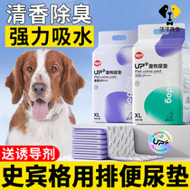 Spingers special dog urine pad guides pet urine puppy induced pot-up pad disposable urine cushion