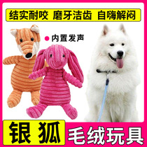 Silver Fox Dogs Bite Dogs Bite Themselves Toys Will Be Bite Happy Has Hang Hang Hang Hang Diversity