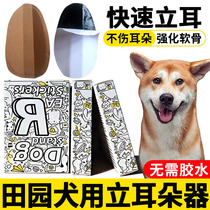 Special dog ear erecting artifact for pastoral dogs. Puppy ear erecting device. Ear erecting stickers. Puppy ear erecting auxiliary clip.